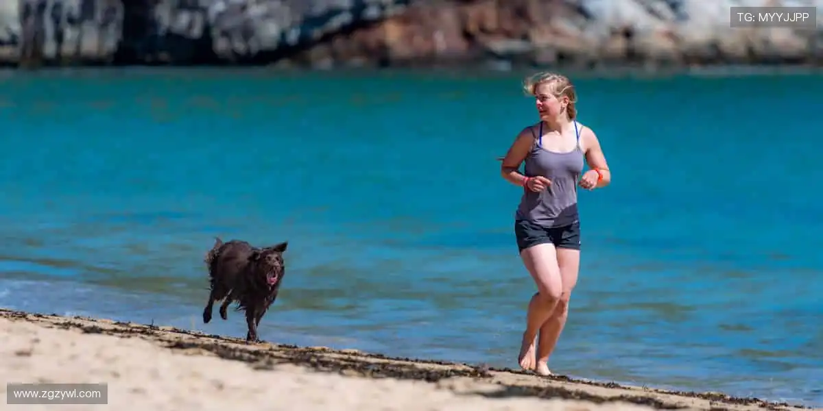 高清画质，让你身临其境每一刻！🎥⚡️